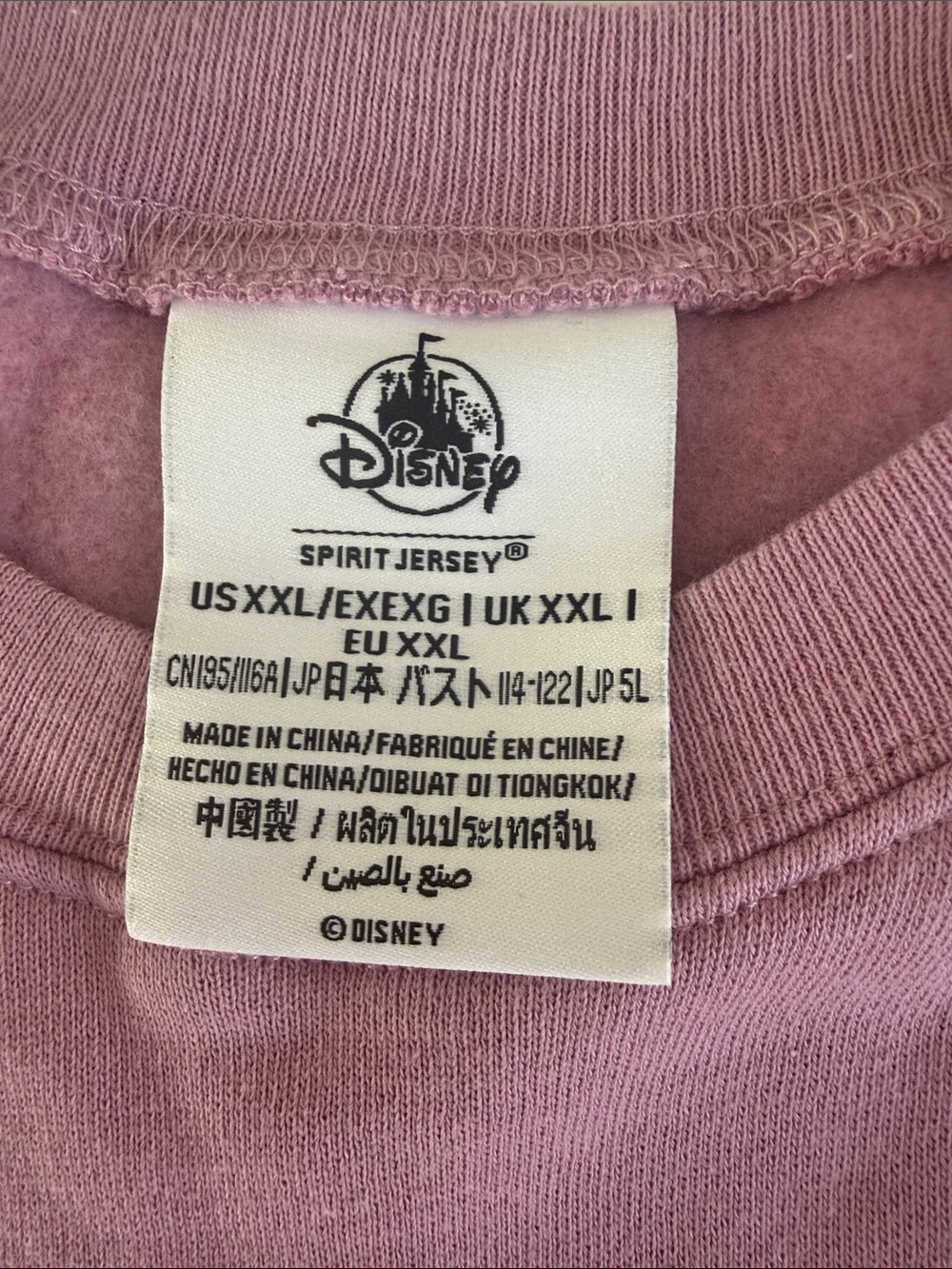 Disney 50th Anniversary spirit jersey - Picture 3 of 3